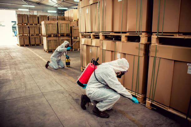 Best Best Pest Control Companies  in Ranlo, NC