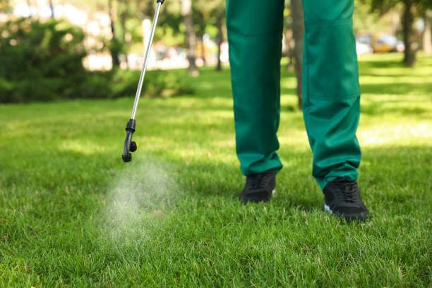 Best Best Pest Control Companies  in Ranlo, NC