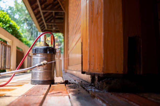 Best Ant Control Services  in Ranlo, NC