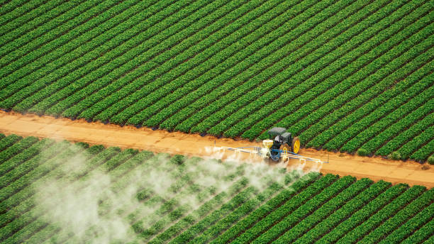 Pest Prevention Services in Ranlo, NC