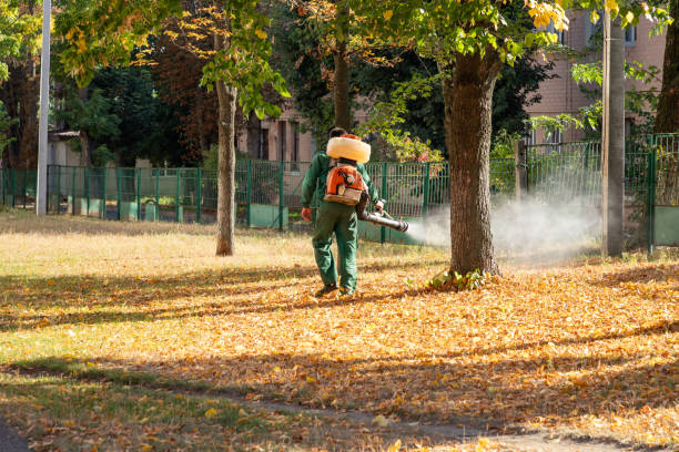 Best Wasp Removal Services  in Ranlo, NC