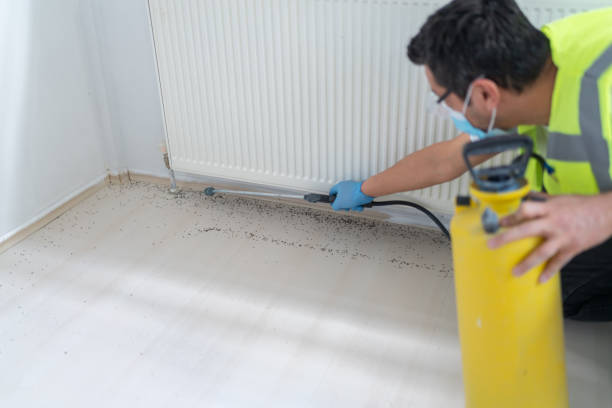 Best Pest Prevention Services  in Ranlo, NC