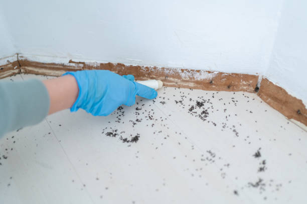 Best Best Pest Control Companies  in Ranlo, NC
