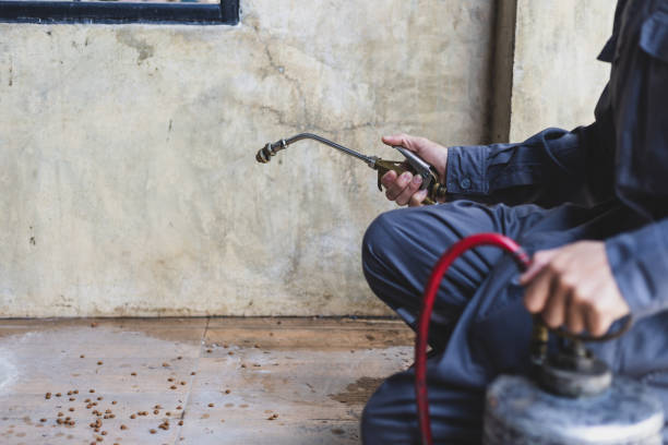 Best Rat Extermination Near Me  in Ranlo, NC