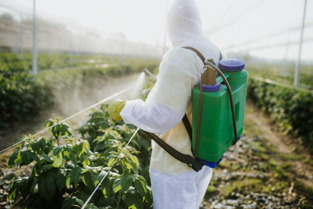 Best Commercial Pest Control Services  in Ranlo, NC